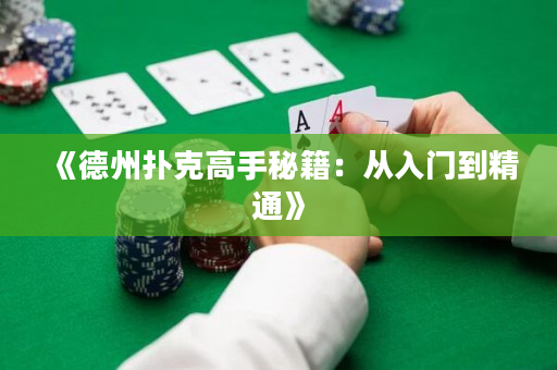《德州扑克高手秘籍：从入门到精通》