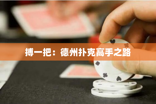 搏一把：德州扑克高手之路