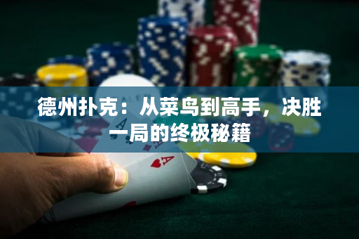 德州扑克：从菜鸟到高手，决胜一局的终极秘籍
