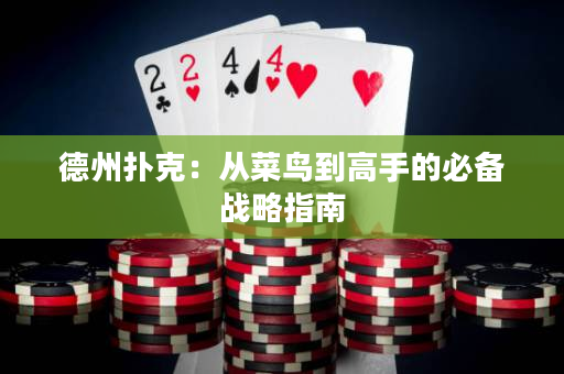 德州扑克：从菜鸟到高手的必备战略指南