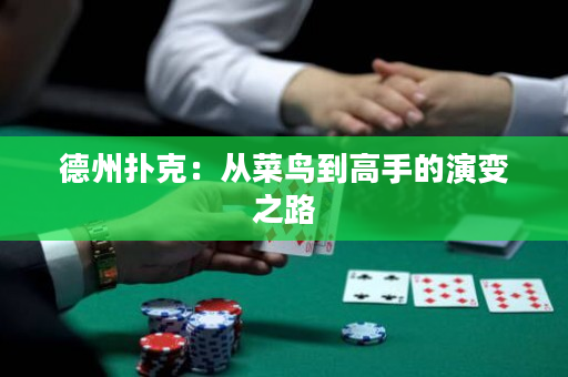 德州扑克：从菜鸟到高手的演变之路