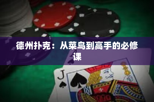 德州扑克：从菜鸟到高手的必修课