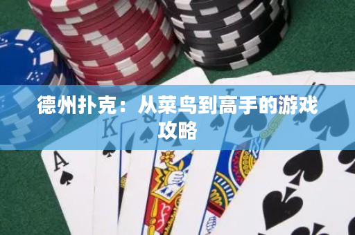 德州扑克：从菜鸟到高手的游戏攻略