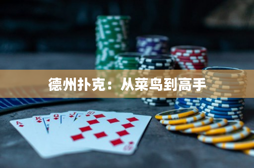德州扑克：从菜鸟到高手