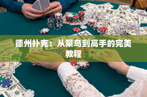 德州扑克：从菜鸟到高手的完美教程