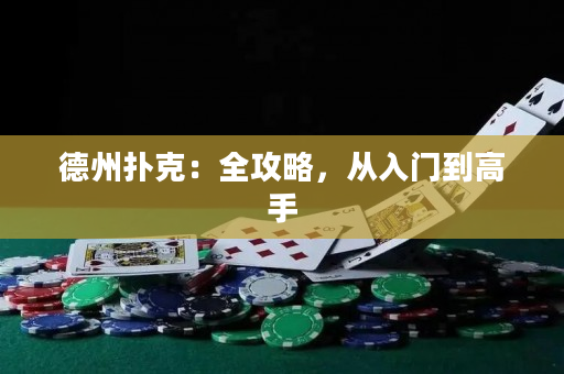 德州扑克：全攻略，从入门到高手