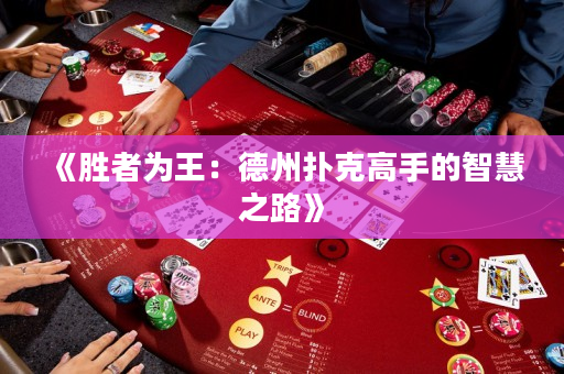 《胜者为王：德州扑克高手的智慧之路》