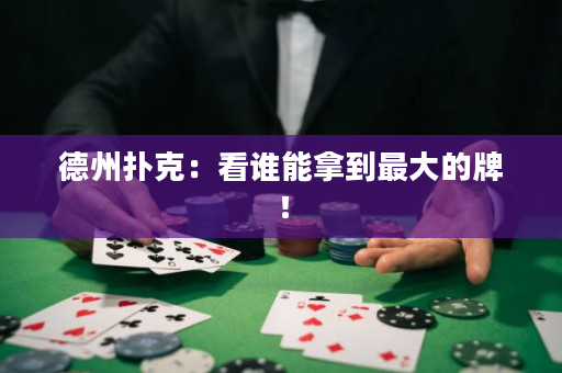 德州扑克：看谁能拿到最大的牌！