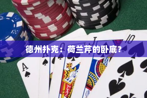 德州扑克：荷兰芹的卧底？