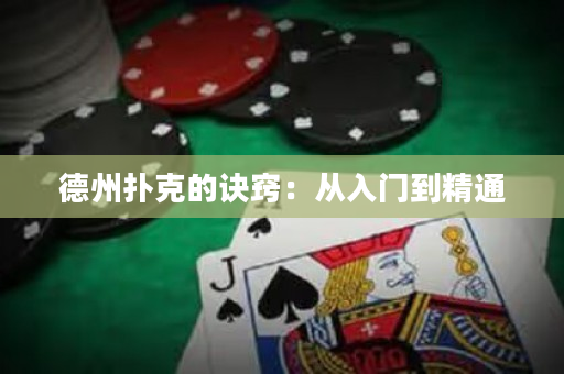 德州扑克的诀窍：从入门到精通