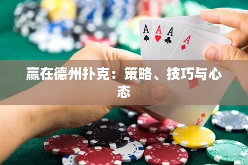 赢在德州扑克：策略、技巧与心态