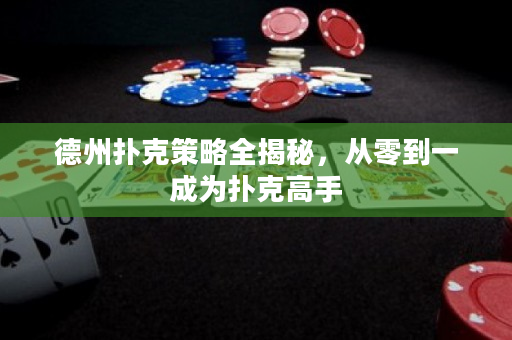 德州扑克策略全揭秘，从零到一成为扑克高手