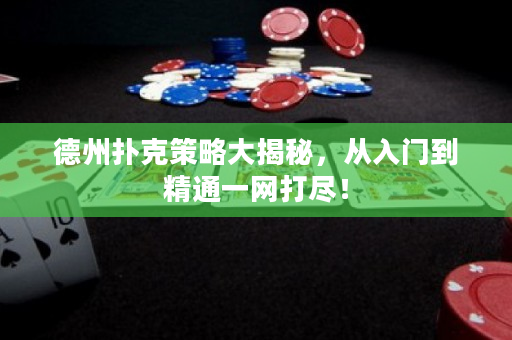 德州扑克策略大揭秘，从入门到精通一网打尽！