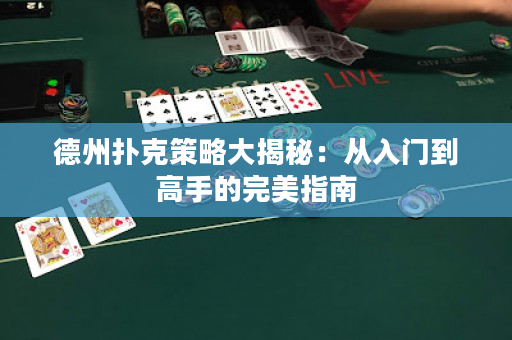 德州扑克策略大揭秘：从入门到高手的完美指南