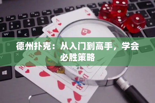 德州扑克：从入门到高手，学会必胜策略