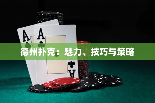 德州扑克：魅力、技巧与策略