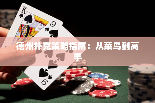 德州扑克策略指南：从菜鸟到高手