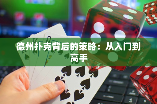 德州扑克背后的策略：从入门到高手
