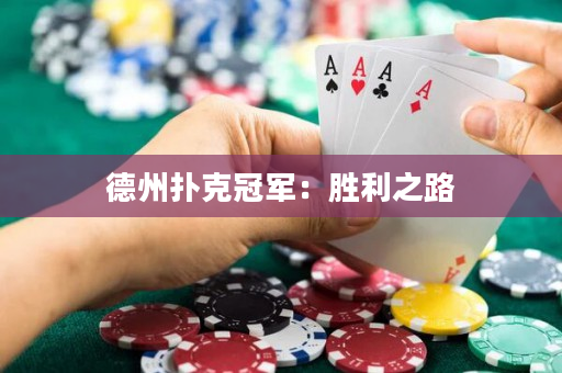 德州扑克冠军：胜利之路