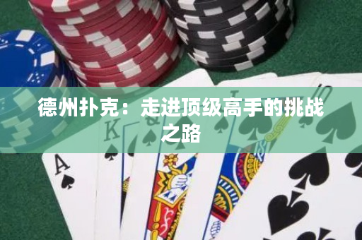 德州扑克：走进顶级高手的挑战之路