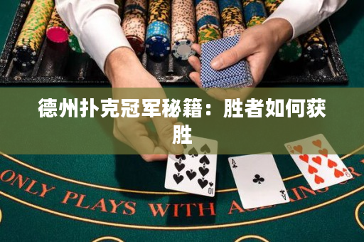 德州扑克冠军秘籍：胜者如何获胜