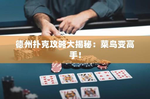 德州扑克攻略大揭秘：菜鸟变高手！