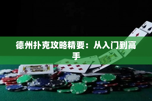 德州扑克攻略精要：从入门到高手