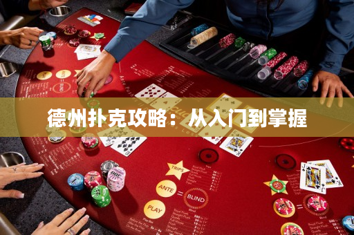 德州扑克攻略：从入门到掌握