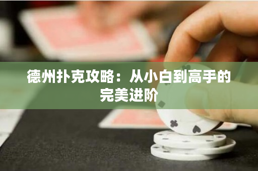 德州扑克攻略：从小白到高手的完美进阶