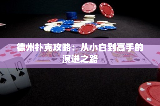 德州扑克攻略：从小白到高手的演进之路