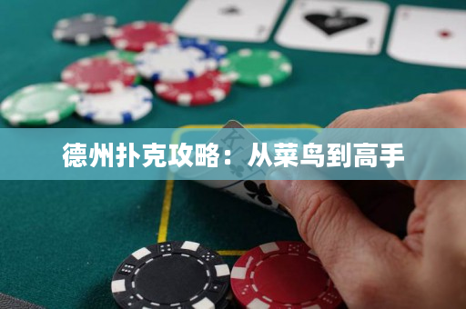 德州扑克攻略：从菜鸟到高手