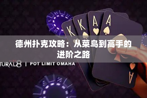 德州扑克攻略：从菜鸟到高手的进阶之路
