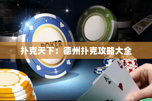 扑克天下：德州扑克攻略大全