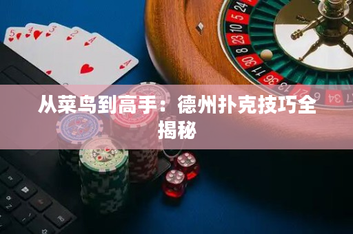 从菜鸟到高手：德州扑克技巧全揭秘