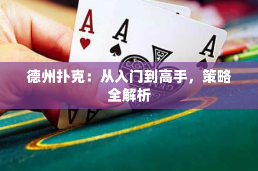 德州扑克：从入门到高手，策略全解析