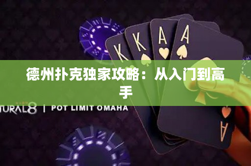 德州扑克独家攻略：从入门到高手