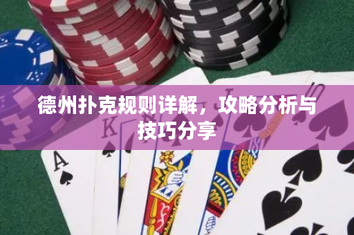 德州扑克规则详解，攻略分析与技巧分享