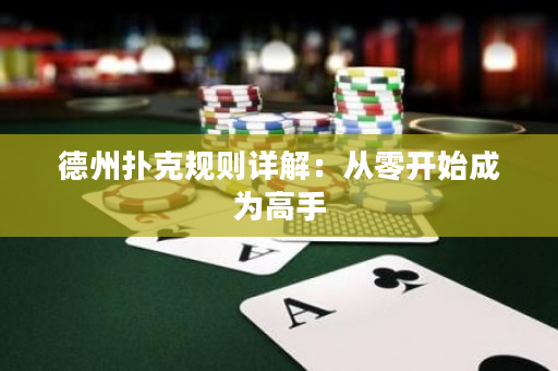 德州扑克规则详解：从零开始成为高手