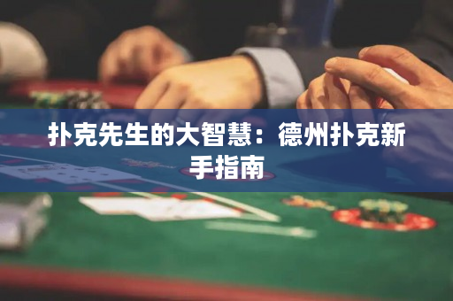 扑克先生的大智慧：德州扑克新手指南