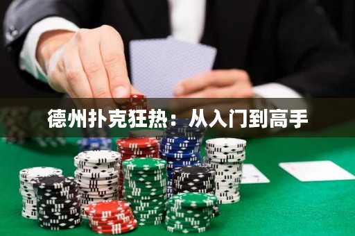 德州扑克狂热：从入门到高手