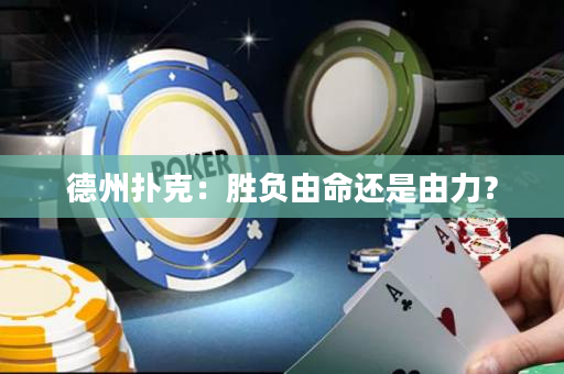 德州扑克：胜负由命还是由力？