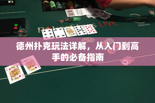 德州扑克玩法详解，从入门到高手的必备指南
