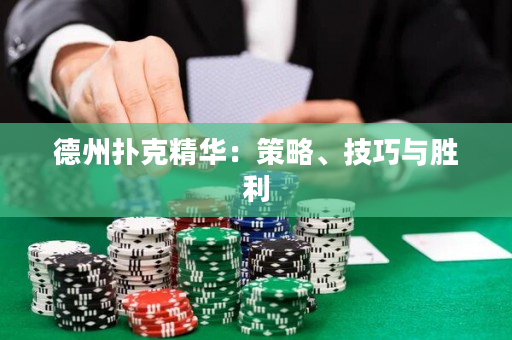 德州扑克精华：策略、技巧与胜利