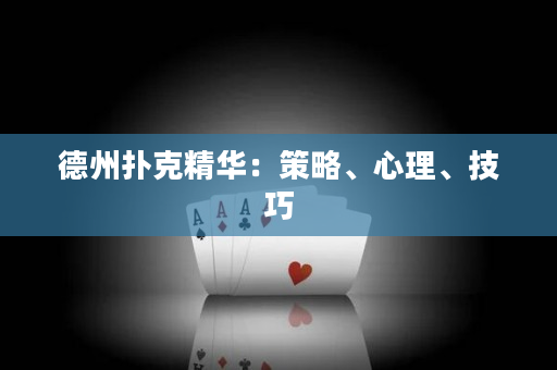 德州扑克精华：策略、心理、技巧