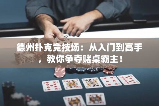 德州扑克竞技场：从入门到高手，教你争夺赌桌霸主！