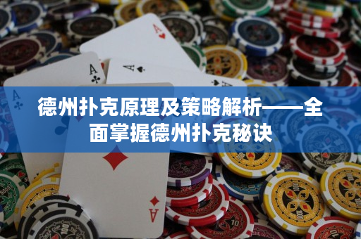 德州扑克原理及策略解析——全面掌握德州扑克秘诀