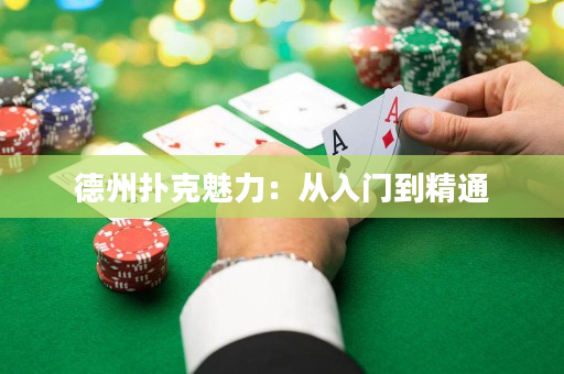 德州扑克魅力：从入门到精通