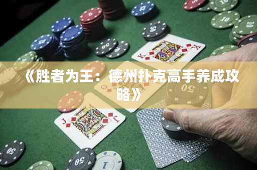 《胜者为王：德州扑克高手养成攻略》