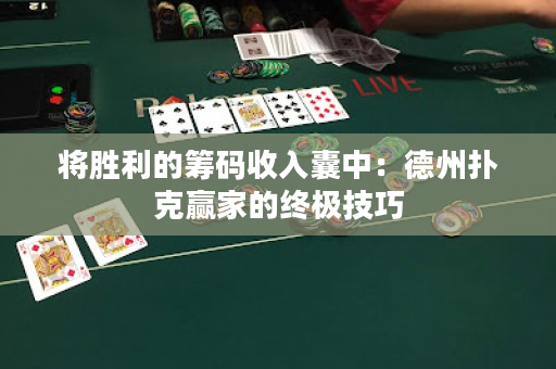 将胜利的筹码收入囊中：德州扑克赢家的终极技巧