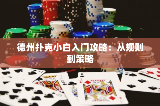 德州扑克小白入门攻略：从规则到策略
